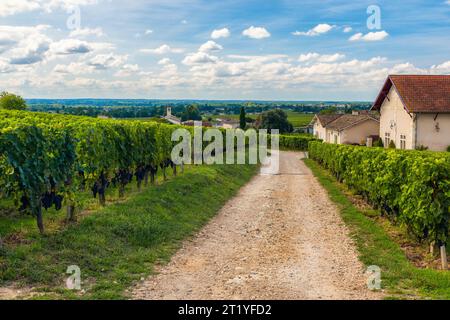 Die Landstraße führt durch die Weinberge von Saint Emilion, Bordeaux. Weingärten in Frankreich. Altes Gebäude in einem kleinen Dorf mit Weinreihen auf einer Traube Stockfoto