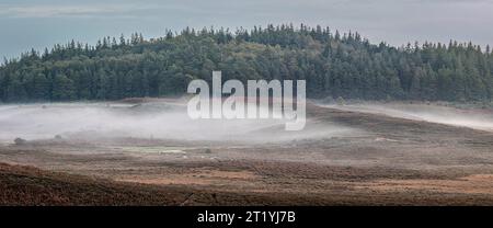 Ein herbstliches Waldpanorama mit tief liegendem Nebel in der Mitte und Bäumen auf einem Hügel in der Ferne. New Forest, Hampshire Großbritannien Stockfoto