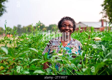 Dorothy Grady-Scarborough steht in einem hohen Grün in ihrem Gemeindegarten. Stockfoto