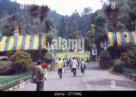 Der Government Botanical Garden ist ein botanischer Garten in Udhagamandalam in der Nähe von Coimbatore (Ooty) im Bundesstaat Tamil Nadu, Indien, der 1848 angelegt wurde. Stockfoto