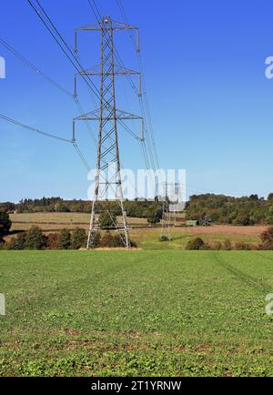 Reihe von Strommasten in einer englischen ländlichen Landschaft in den englischen Chiltern Hills im Herbst Stockfoto