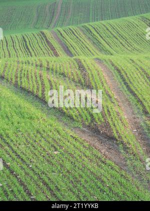 Ackerland im Clun Valley bei Craven Arms, Shropshire, Großbritannien Stockfoto