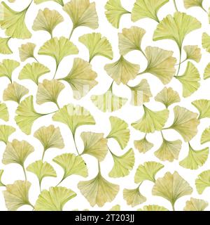 Ginkgo biloba grünes gelbes Blatt Aquarellmuster auf weißem Hintergrund. Handgezeichneter botanischer Hintergrund Stockfoto