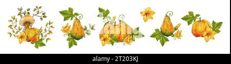 Aquarellset mit Herbstkürbissen, Blumen, Pilzen. Set mit herbstlichen Elementen. Herbstkompositionen mit Kürbissen, Blumen und Zweigen. Stockfoto
