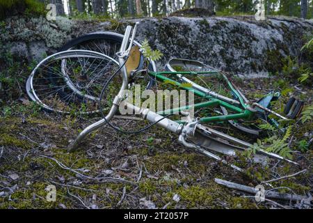 Verlassenes, kaputtes altes Fahrrad im Wald Stockfoto