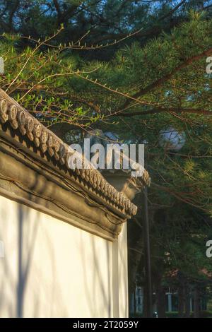 Erfassen Sie die komplizierte Schönheit der traditionellen chinesischen Wanddekoration, eine faszinierende Mischung aus Kunst und Kultur Stockfoto