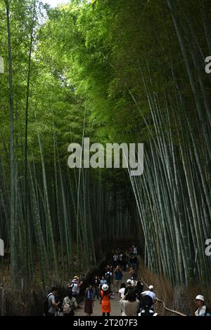 Arashiyama Bamboo Grove, ein Bambuswald von Mōsō in Kyoto, Japan. Einer der meistfotografierten Orte, in der Regel überfüllt mit Besuchern. Stockfoto