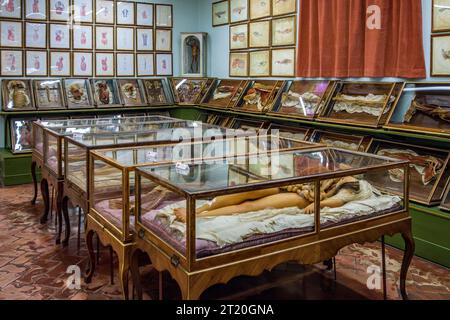 Das 1775 gegründete Museum La Specola in Florenz enthält hochgenaue anatomische Modelle von sezierten Körpern für den Medizinstudium Stockfoto