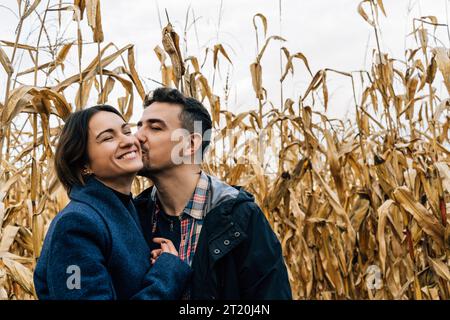 Ein Mann küsst einer glücklichen Frau auf die Wange, während er im Herbst außerhalb der Stadt auf einem Maisfeld spaziert Stockfoto