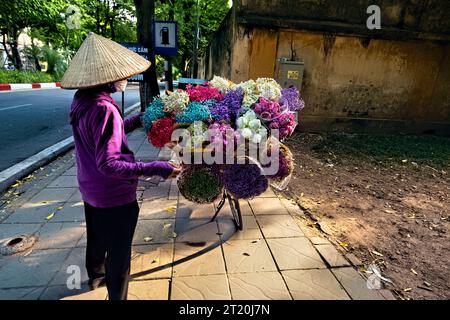 Blumenhändler, Hanoi, Vietnam Stockfoto