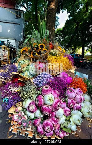 Blumenhändler in der Phan Dinh Phung Street, Hanoi, Vietnam Stockfoto