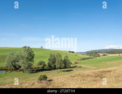 Grüne jura-Landschaft in frankreich Stockfoto