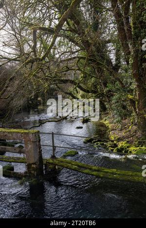 Blautopfsee in Blaubeuren mit Nebenfluss und alter Holzbrücke Stockfoto