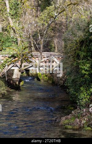 Blautopfsee in Blaubeuren mit Nebenfluss und alter Holzbrücke Stockfoto