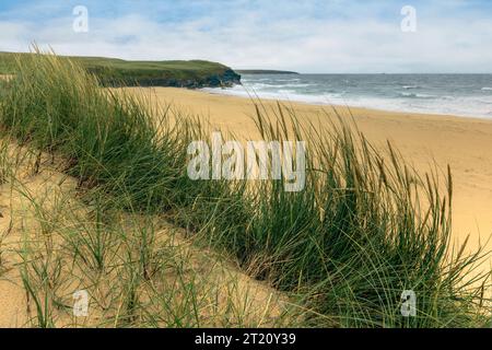 Eoropie Beach ist ein breiter Sandstrand mit hohen Dünen, der sich am Hafen von Ness am Rande des Dorfes Eoropie an der Nordspitze der Isle of Lewis befindet. Stockfoto