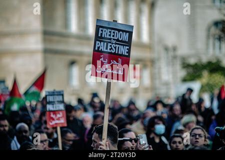 Protestzeichen Freiheit für Palästina während des Protests gegen Palästina in London . Stockfoto