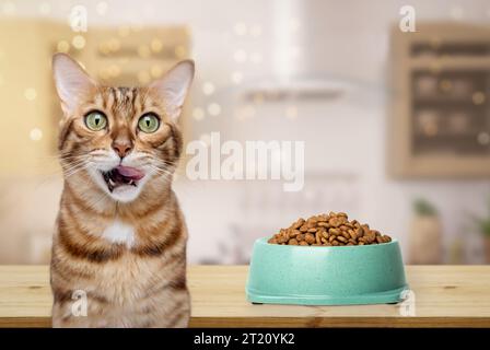 Eine bengalische Katze leckt sich den Mund nahe einer Schüssel Futter. Fütterung der Katze. Stockfoto