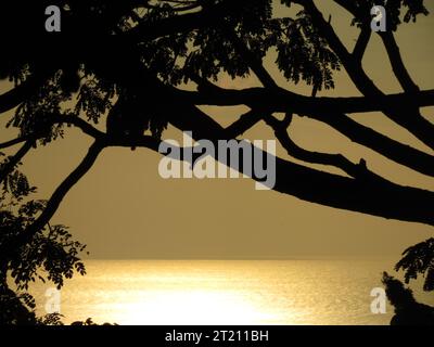 Eine beeindruckende Landschaft mit einem malerischen Sonnenuntergang, der durch einen Silhouettenbaum vor einem Hintergrund des ruhigen Wassers betrachtet wird Stockfoto