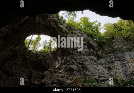 Ein abgewinkelter Blick aus dem Inneren einer Höhle mit Blick auf eine üppige Waldlandschaft mit grünen Bäumen Stockfoto