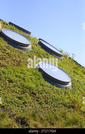 Kreisförmige Oberlichter auf einer gewellten Grasfläche, im Hintergrund der klare blaue Himmel. Nachhaltige moderne Architektur, aco-Architektur, b Stockfoto