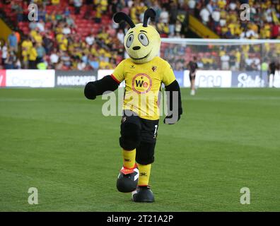 Harry, das Hornet Watford Maskottchen gegen Burnley. - Watford gegen Burnley, Sky Bet Championship, Vicarage Road Stadium, Watford. - 12. August 2022. Nur redaktionelle Verwendung – es gelten Einschränkungen für DataCo. Stockfoto