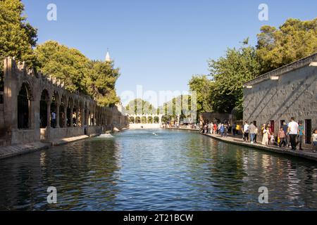 Sanliurfa, Türkei - 15. Juli 2023: Der See und die Fische darin, im Stadtzentrum von Şanlıurfa, wo man glaubt, dass der Prophet Abraham Stockfoto