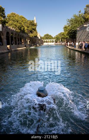 Sanliurfa, Türkei - 15. Juli 2023: Der See und die Fische darin, im Stadtzentrum von Şanlıurfa, wo man glaubt, dass der Prophet Abraham Stockfoto