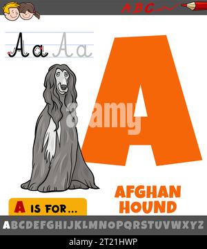 Pädagogische Zeichentrickillustration des Buchstabens A aus dem Alphabet mit afghanischem Hundetier-Charakter Stock Vektor