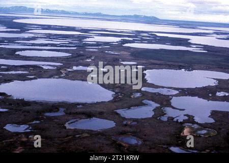 Luftaufnahme der Feuchtgebiete Yukon Delta NWR; Habitats. Themen: Szenarien; Feuchtgebiete. Lage: Alaska. Fish and Wildlife Service Site: YUKON DELTA NATIONAL WILDLIFE REFUGE. . 1998 - 2011. Stockfoto