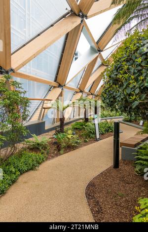 Crossrail Place Roof Garden in Canary Wharf, London Stockfoto