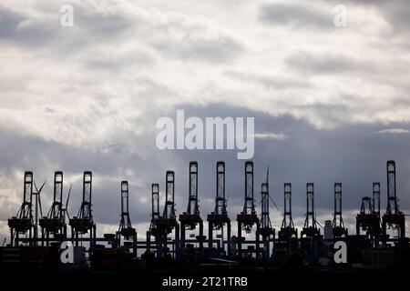 Hamburg, Deutschland. Oktober 2023. Zusammengefaltete Containerbrücken der Terminals Burchardkai und Eurogate sind als Silhouetten im Elbhafen zu sehen. Quelle: Christian Charisius/dpa/Alamy Live News Stockfoto