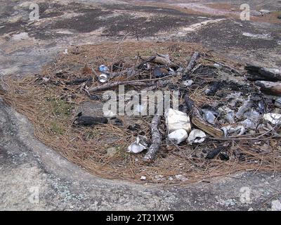 Die Solution Grube auf einem Granitvorsprung in Georgien wurde als Feuerstelle genutzt, was zur Zerstörung der einheimischen Vegetation und des Lebensraums führte. Diese Störung stellt eine Bedrohung für bedrohte Arten wie den kleinen Amphianthus und das mattenbildende Quillwort dar, die auf diesem empfindlichen Ökosystem beruhen. Stockfoto