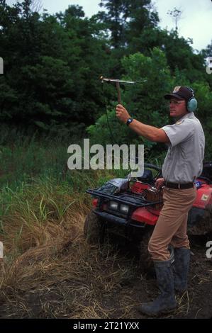 Ein Mitarbeiter des U.S. Fish and Wildlife Service hält ein Schwarzbären-Ortungsgerät hoch. Themen: Angestellte (USFWS); Spuren und Verfolgung; Säugetiere; Wildschutzgebiete; Geschichte; Uniformen; Service-Patch. Lage: Louisiana. Fish and Wildlife Service Site: TENSAS RIVER NATIONAL WILDLIFE REFUGE. . 1998 - 2011. Stockfoto