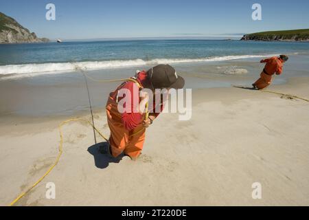 Die Forschung auf Big Koniuji Island, einem Teil der Shumagin Islands, konzentriert sich auf Meeresarten und deren Rolle bei der Unterstützung des lokalen Ökosystems im Alaska Maritime National Wildlife Refuge. Stockfoto