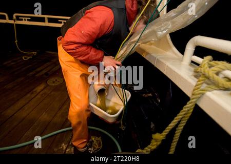 Wissenschaftler führen Plankton-Schleppzüge in der Nähe der Shumagin-Inseln im Jahr 2006 als Teil der Futterfischforschung durch, die vom Alaska Maritime National Wildlife Refuge durchgeführt wurde, um Meeresfutternetze zu untersuchen. Stockfoto