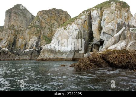 Castle Rock auf den Shumagin Islands in der Nähe der Alaska-Halbinsel im Jahr 2006. Themen: Vögel; Küstengebiete; Inseln; Wildschutzgebiete. Lage: Alaska. Fish and Wildlife Service Site: Alaska Maritime National Wildlife Refuge. Stockfoto