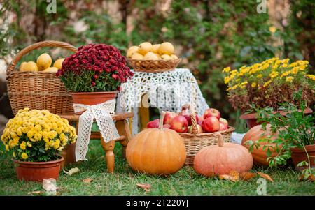 Herbstzusammensetzung: Gelbe Birnen, rote Äpfel, Kürbis, Herbstblumen. Thanksgiving-Tag. Herbsternte im Garten. Stockfoto