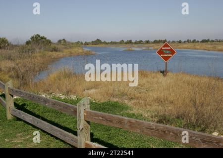 Ein Warnschild im St. Marks National Wildlife Refuge erinnert die Besucher an die Anwesenheit von Alligatoren in den Gewässern. Das Schild unterstreicht die Wichtigkeit der Vorsicht um diese Raubtiere herum und fördert die Sicherheit in Feuchtgebieten. Stockfoto