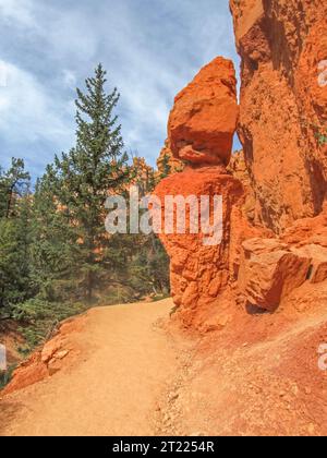 Ein bizarrer Kalkstein-Hoodoo, bewacht, neben einem Fußweg im Bryce Canyon National Park, Utah. Stockfoto