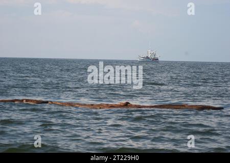 Das frei schwimmende, ölgetränkte Boom in den Gewässern vor dem Breton Island National Wildlife Refuge stellt eine Bedrohung für alle Tierarten dar. Themen: Deepwater Horizon Ölpest; Ölpest. Lage: Louisiana. Fish and Wildlife Service Site: BRETONISCHES NATURSCHUTZGEBIET. . 1998 - 2011. Stockfoto