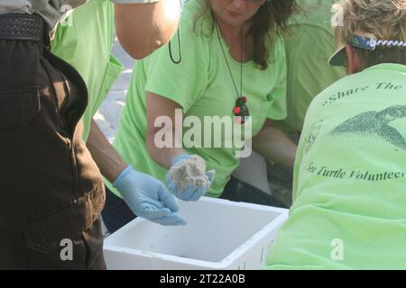 12. Juli 2010: Gulf Shores, AL: Die Kühler, die für den Transport von Meeresschildkröteneiern verwendet werden, müssen mit Sand vom einheimischen Strand der Schildkröte gefüllt werden. Foto von Barbara Maxfield, USFWS. Themen: Deepwater Horizon Ölpest; Mitarbeiter (USFWS); Reptilien; Umzug. Lage: Alabama. Stockfoto