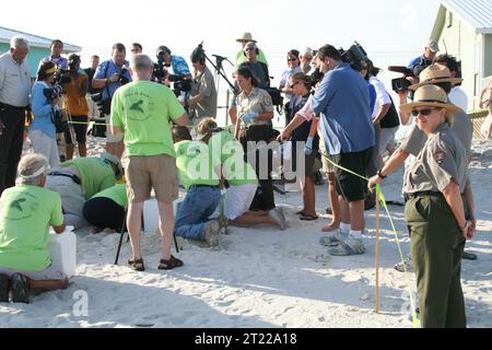 12. Juli 2010: Gulf Shores, AL: Freiwillige, Bundesbehörden, staatliche Agenturen und gemeinnützige Organisationen arbeiteten zusammen, um diese monumentale Anstrengung zu ermöglichen. Foto von Barbara Maxfield, USFWS. Themen: Deepwater Horizon Ölpest; Mitarbeiter (USFWS); Reptilien; Umzug. Lage: Alabama. Stockfoto