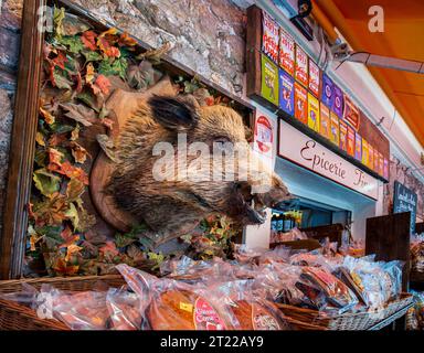 Eberkopf außerhalb von Epicerie, Calvi, Korsika, Frankreich; Stockfoto
