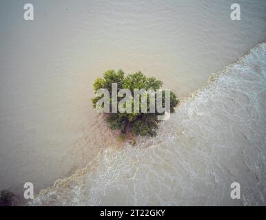 Luftbild eines einsamen Baumes, der in der Überschwemmung des Flusses Save in Zagreb, Kroatien, untergetaucht war, nachdem ein schwerer Sturm und Regen Slowenien getroffen und das Wasser hochgehoben hatte Stockfoto