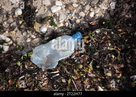 Plastikflasche an der Kieselküste entsorgt Stockfoto