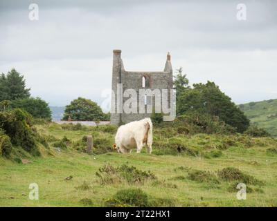 Ruine einer verlassenen Zinnmine bei Hurlers Stone Circles im Bodmin Moor bei Minions. Stockfoto