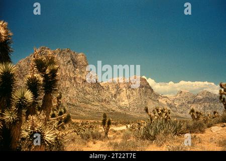 Ein Panoramablick auf eine Wüstenlandschaft, die die raue Schönheit des trockenen Südwestens einfängt. Das weite, karge Gelände ist geprägt von markanten Felsformationen, karger Vegetation und einem weiten offenen Himmel. Stockfoto