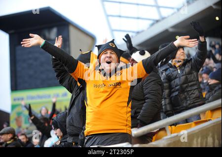 Wolves Fans Fans Sky Bet Football League One - Wolverhampton Wanderers gegen Bradford City 01/02/2014 Stockfoto