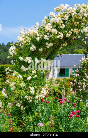 Rosenbögen und farbenfrohe Sommerblumenränder in Giverny, dem Garten des französischen impressionistischen Malers Claude Monet, Normandie, Nordfrankreich Stockfoto