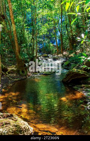 Dichte Regenwaldvegetation, durchzogen vom Fluss inmitten der Felsen mit dem Wasserfall versteckt im Hintergrund hinter den Bäumen in Minas Gerais, Brasilien Stockfoto